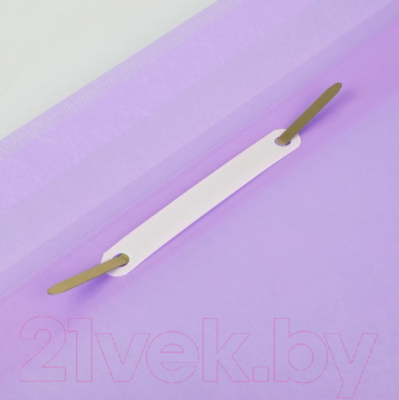 Изображение товара Папка для бумаг Brauberg Pastel / 270456 (лиловый)
