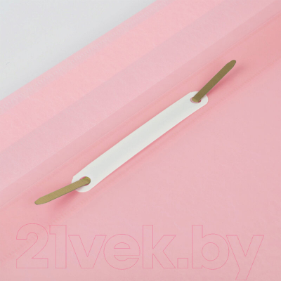 Папка для бумаг Brauberg Pastel / 270457 (персиковый)