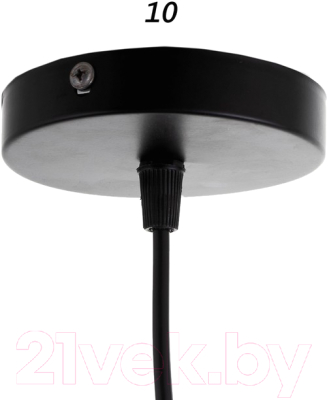 Потолочный светильник BayerLux 69954/1 / 5200208 (черный)