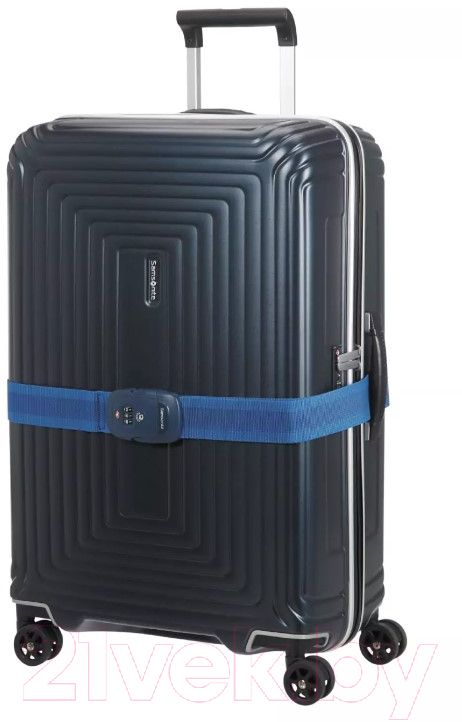 Ремень багажный Samsonite Global Ta CO1*11 057