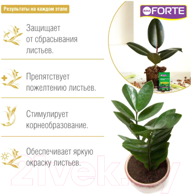 Удобрение Bona Forte Для декоративно растений BF24010501 (10мл)