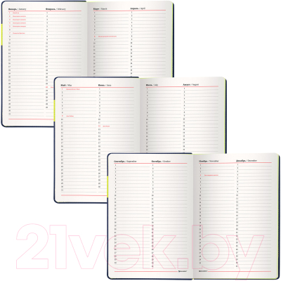 Изображение товара Ежедневник Brauberg Aim / 113423 (темно-синий)