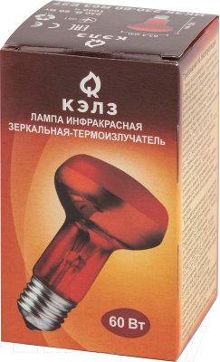 Лампа ЭРА ИКЗК 230-60 R63 / Б0057281