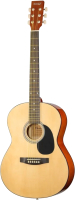 Акустическая гитара Homage LF-3900 - 