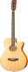 Акустическая гитара Homage LF-401C-N - 