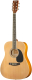 Акустическая гитара Homage LF-4110-N - 