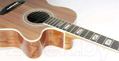 Акустическая гитара Ramis RA-C02C
