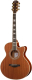 Акустическая гитара Ramis RA-C02C - 