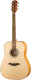 Акустическая гитара Ramis RA-A05 - 
