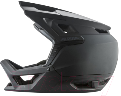 Защитный шлем Alpina Sports 2022 Roca / A9760-30 (р-р 59-60)