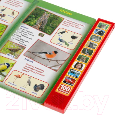 Изображение товара Музыкальная книга Умка 100 голосов окружающего мира