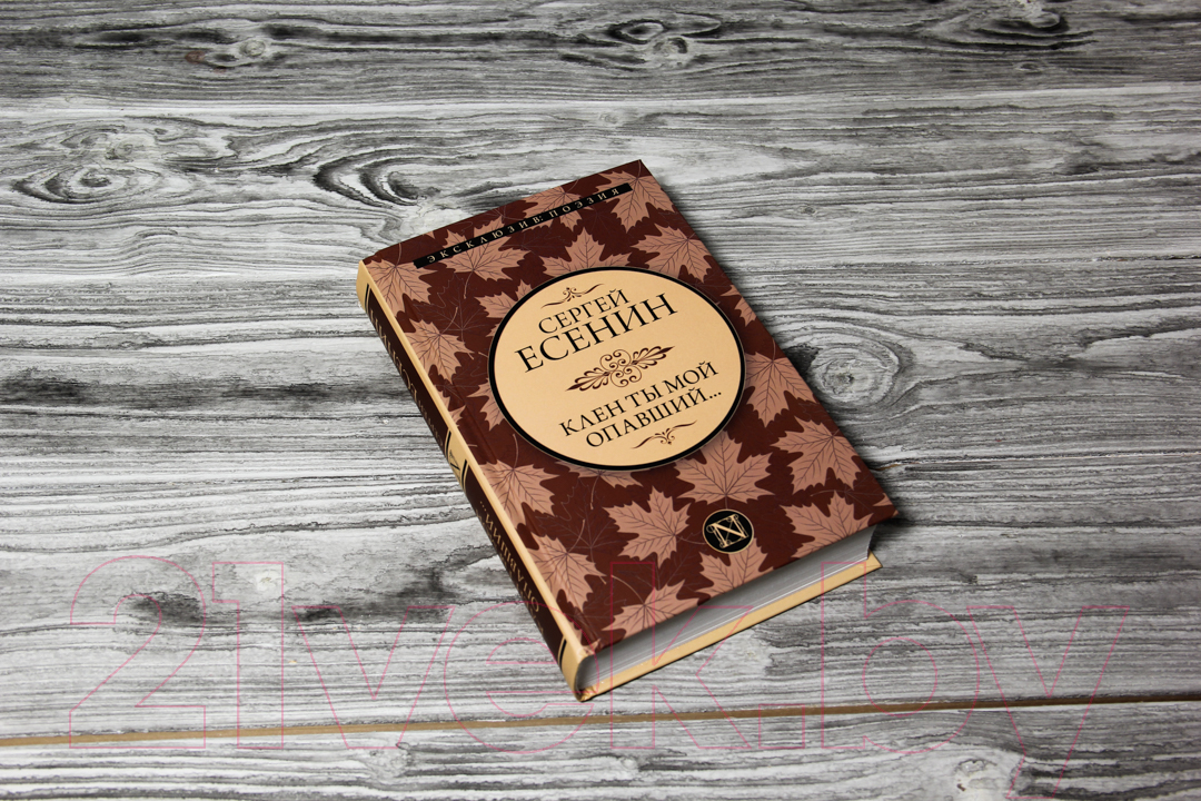 Художественная книга АСТ Клен ты мой опавший (Есенин С.) — фото 2