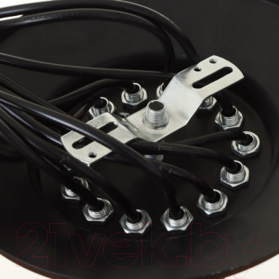 Изображение товара Люстра BayerLux 2541/14 7141504 (черный)