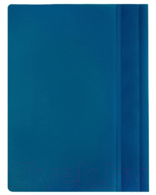 Изображение товара Папка для бумаг Brauberg 224801 (синий)