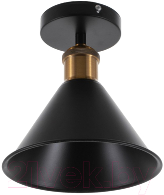 Изображение товара Потолочный светильник BayerLux Мараньон 3940827 (черный)