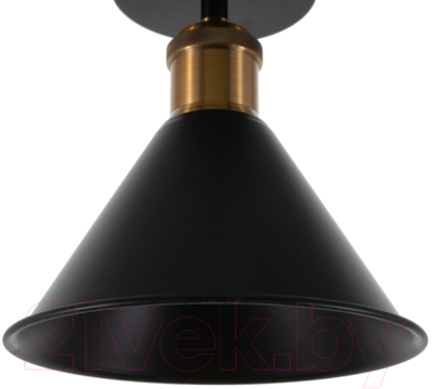 Изображение товара Потолочный светильник BayerLux Мараньон 3940827 (черный)