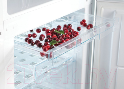 Холодильник с морозильником Snaige RF31SM-S0MP2F