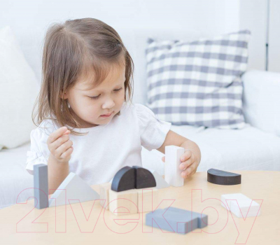 Развивающий игровой набор Plan Toys Блоки. Геометрия / 5371