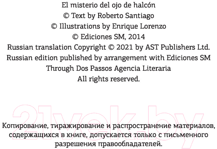 Художественная книга АСТ Детективы-футболисты. Тайна Соколиного глаза (Сантьяго Р.) — фото 3