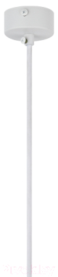 Потолочный светильник ЭРА PL 17 WH / Б0055580 (белый)