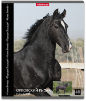 

Тетрадь Erich Krause, Лошади / 54250