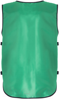 Манишка футбольная Jogel JBIB-2001 (синий/зеленый)