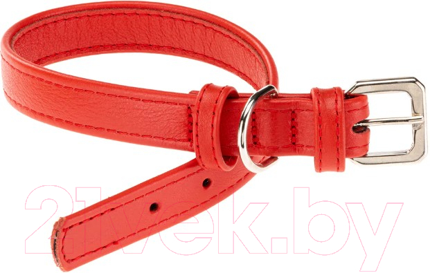 Ошейник Ferplast Vogue Flat CF15/29 / 76120022 (красный)