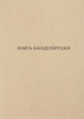 Книга учета Типография Победа 19С494-02477321 (50л)