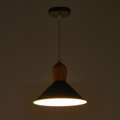 Изображение товара Потолочный светильник BayerLux 2034833/1 / 4642585 (серый)