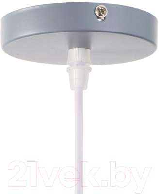 Изображение товара Потолочный светильник BayerLux 2034833/1 / 4642585 (серый)