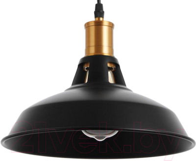 Потолочный светильник BayerLux 1955/1BK / 6712034 (черный)