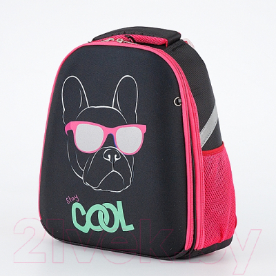 Школьный рюкзак Ecotope Kids Бульдог 057-540-120-CLR (черный)