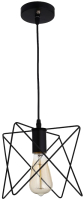 Потолочный светильник BayerLux Шелби 4494703 (черный) - 
