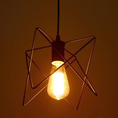 Потолочный светильник BayerLux Шелби 4494703 (черный)