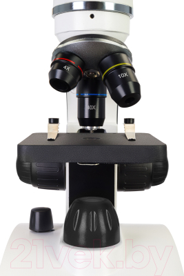 Микроскоп цифровой Levenhuk Discovery Pico Polar с книгой / D77980 