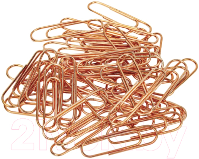 Скрепки Brauberg 270448 (100шт)