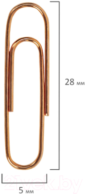 Скрепки Brauberg 270448 (100шт)