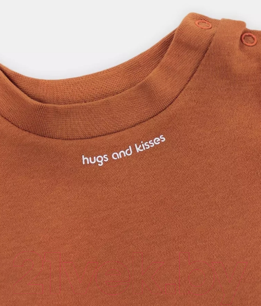 Набор футболок для малышей Rant Hugs And Kisses / 46-68 (2шт, Curry Brown, р.68) — фото 3