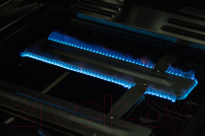 Газовый гриль Sahara X450 4 Burner BBQ / X450EW-ST (серый)