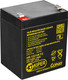 Аккумуляторная батарея Kiper HR-1221W F2 - 