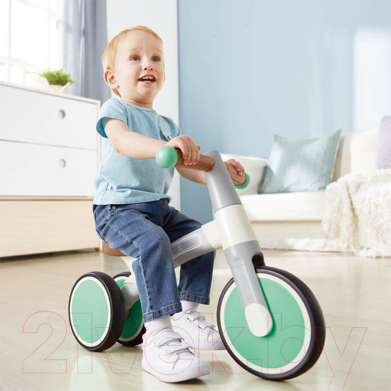 Беговел Hape First Ride / E0104_HP