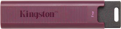 Usb flash накопитель Kingston Data Traveler Max 1TB (DTMAXA/1TB)