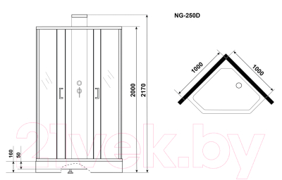 Душевая кабина Grossman GR250D 100x100