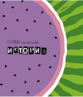 

Тетрадь предметная КТС-Про, Арбузы История / С7920-09