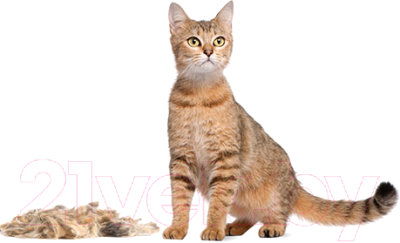 Фурминатор для животных FURminator Cat Undercoat M/L Short Hair 12 YA