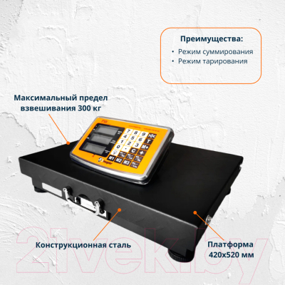 Весы платформенные Shtapler PW 71047122 (300кг)