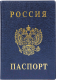 Обложка на паспорт DPS Россия / 2203.В-101 (синий) - 