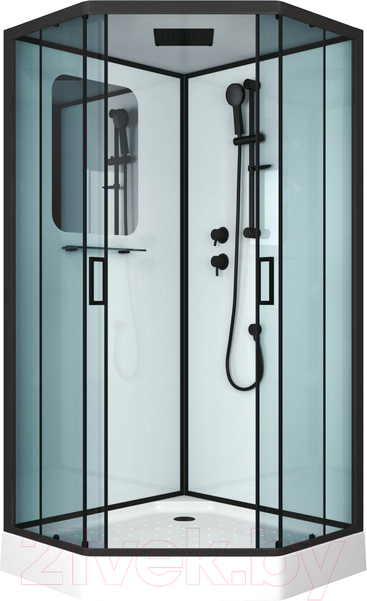 Душевая кабина Niagara NG-6901-01D 90x90 (черный, тонированное стекло)