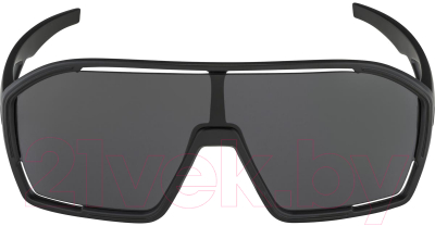 Очки солнцезащитные Alpina Sports 2022 Bonfire All / A8687431 (черный)