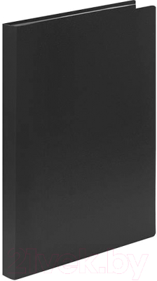 Изображение товара Папка для бумаг Lite NP0145-20BkE (с файлами, черный)